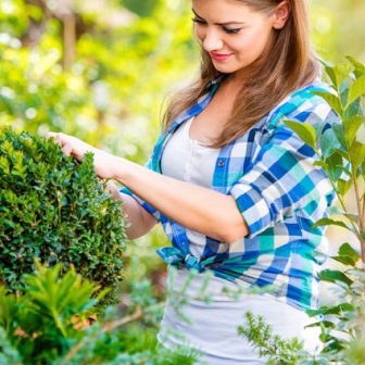 gardener-masonry-3