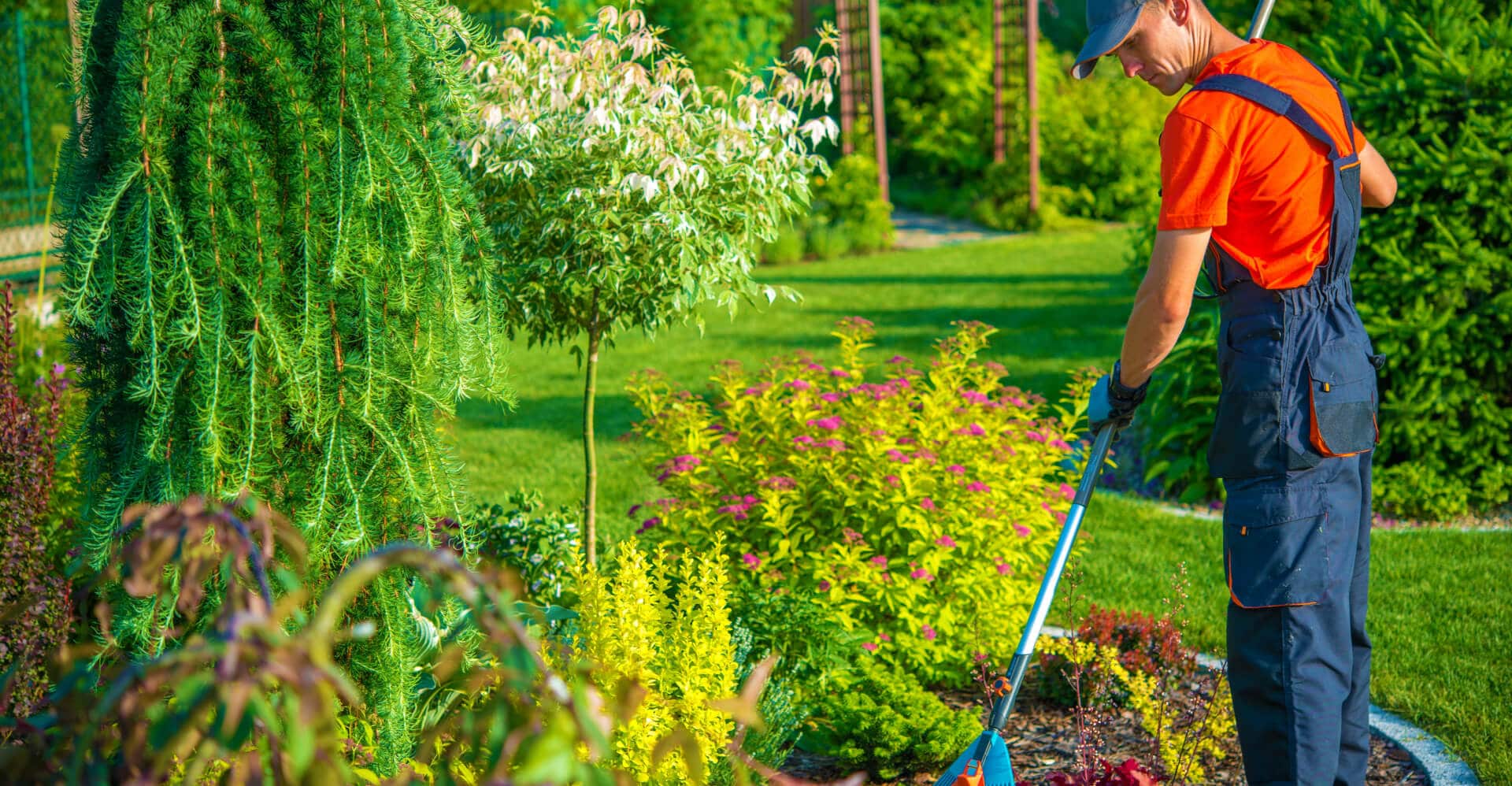 Spring & Fall Cleanup